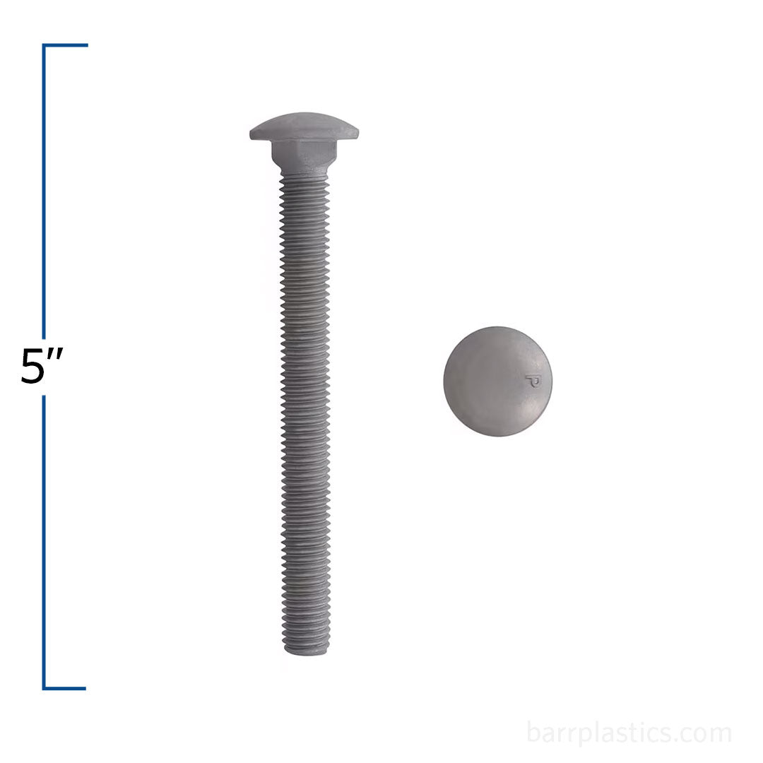 1/2" x 5" Galvanized Carriage Bolt | B852-596
