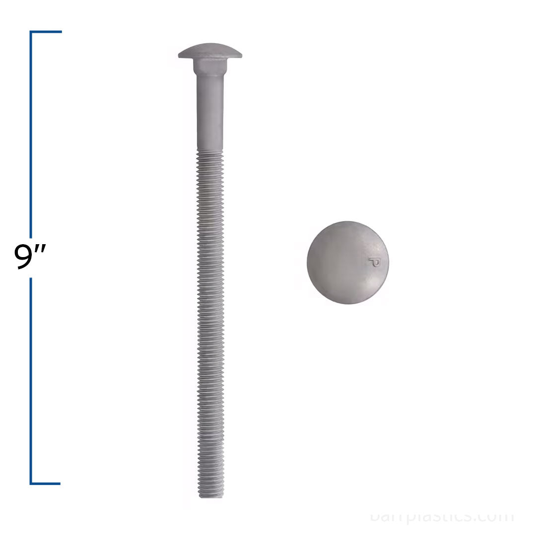 1/2" x 9" Galvanized Carriage Bolt | B852-605