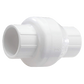 Picture of a PVC Swing Check Valve with no background