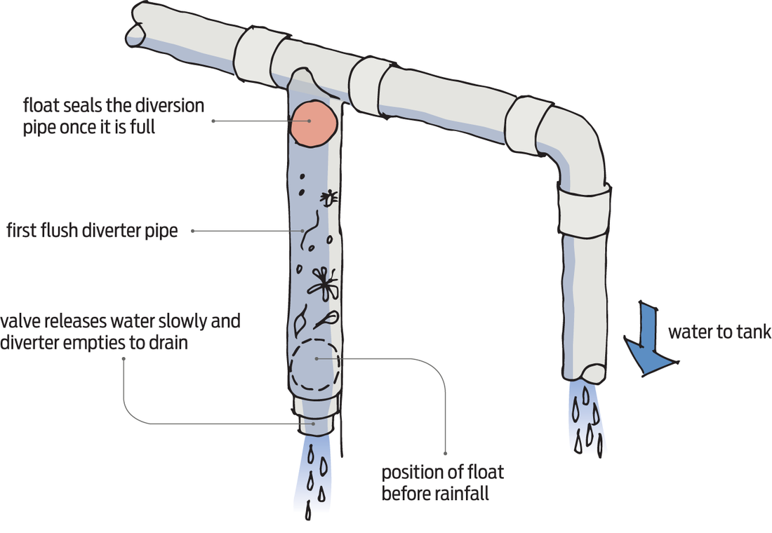 Why are First Flush Diverters Important?