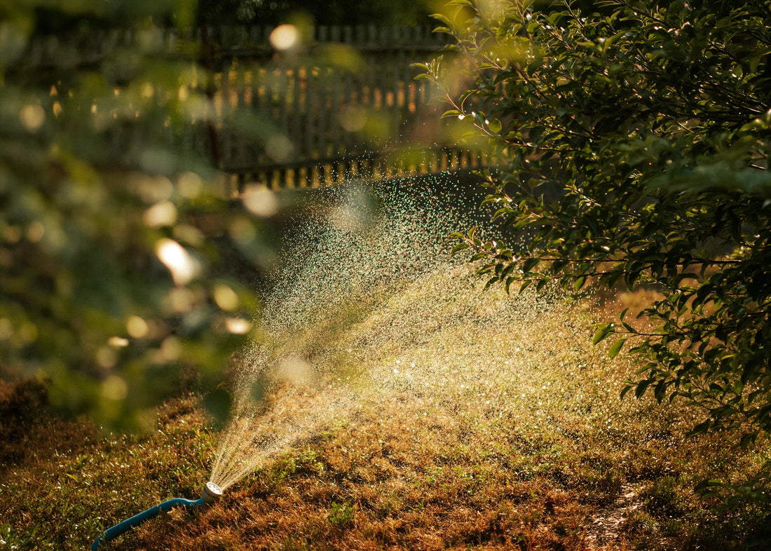 How to Choose the Right Rain Barrel or Rainwater Tank for Your Property