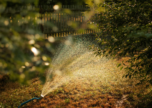 How to Choose the Right Rain Barrel or Rainwater Tank for Your Property