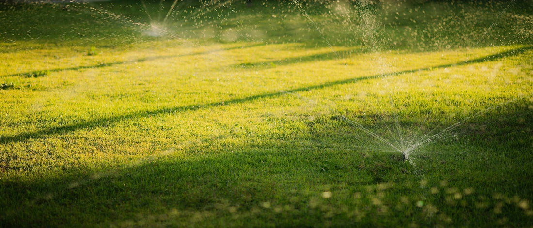 Beat Water Restrictions. Keep Your Garden Alive With Rainwater.