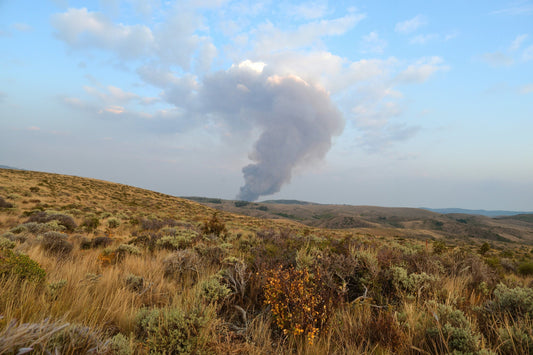 Skid, Trailer, or Tote: Choosing Portable Fire Water for Remote Western Sites